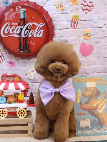 20230915こじろうくん